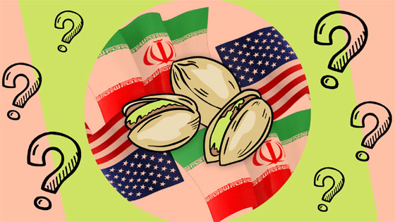 حرب الفســــتق