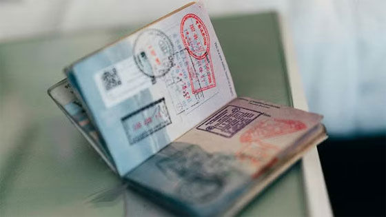 التأشيرة الدبلوماسية والعادية