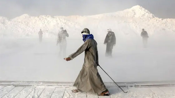 عمال محاجر المنيا