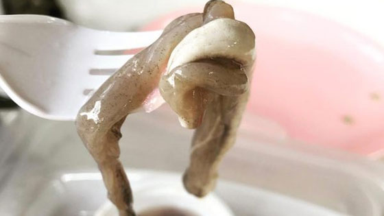 طبق دودة الخشب